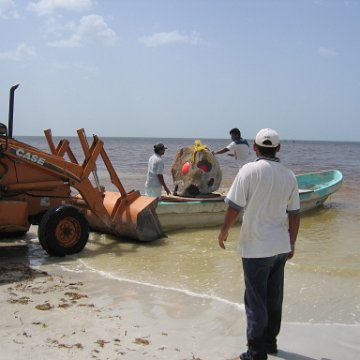 img_1050 img_1050