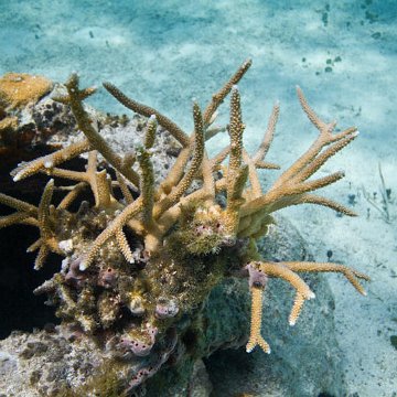 IMG_7173 IMG_7173