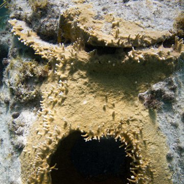 IMG_7174 IMG_7174