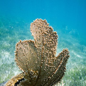 IMG_7190 IMG_7190