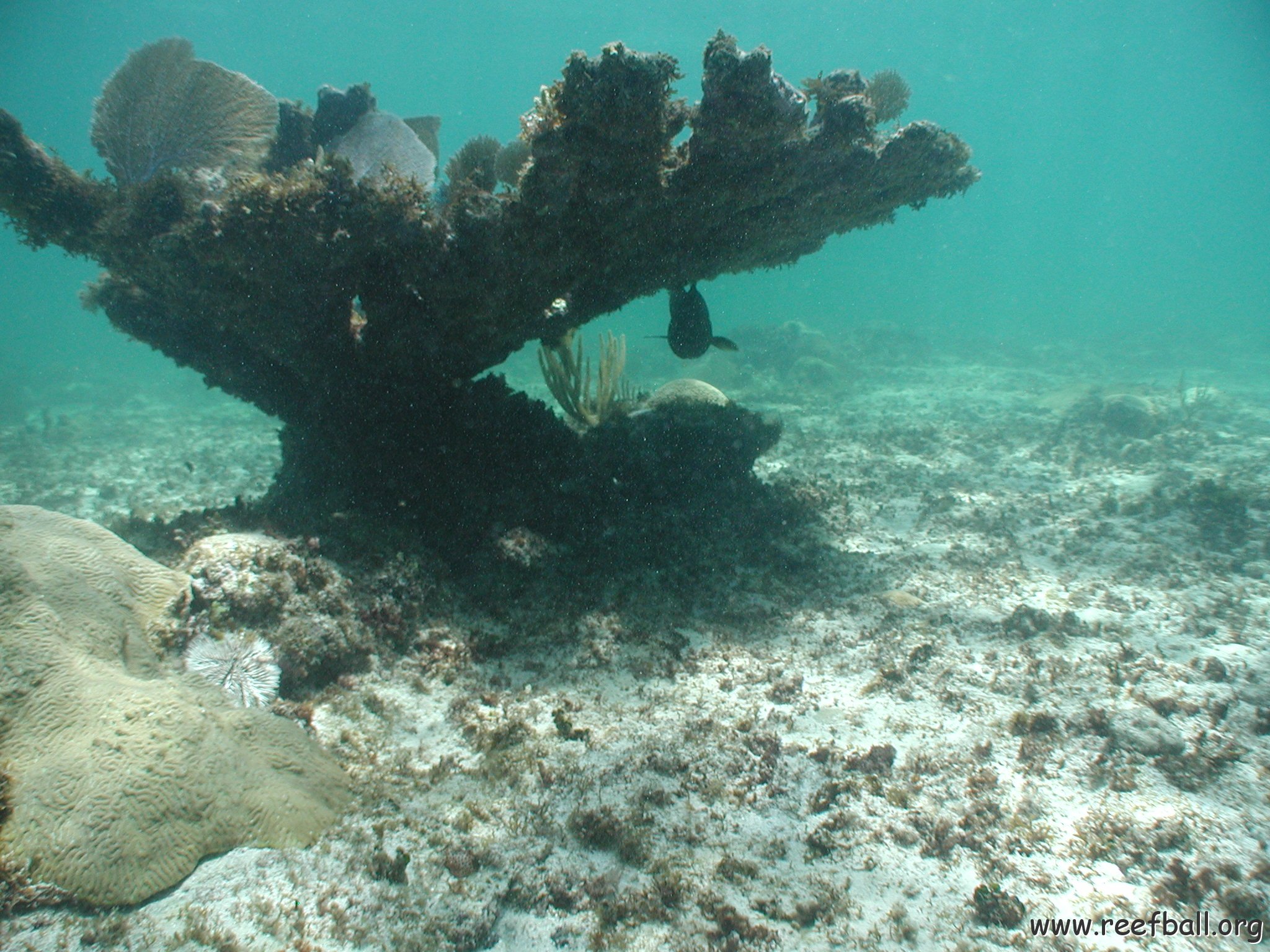 P9033405