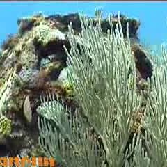 cancuncable cancuncable