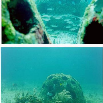 cancunfeb99set3 cancunfeb99set3