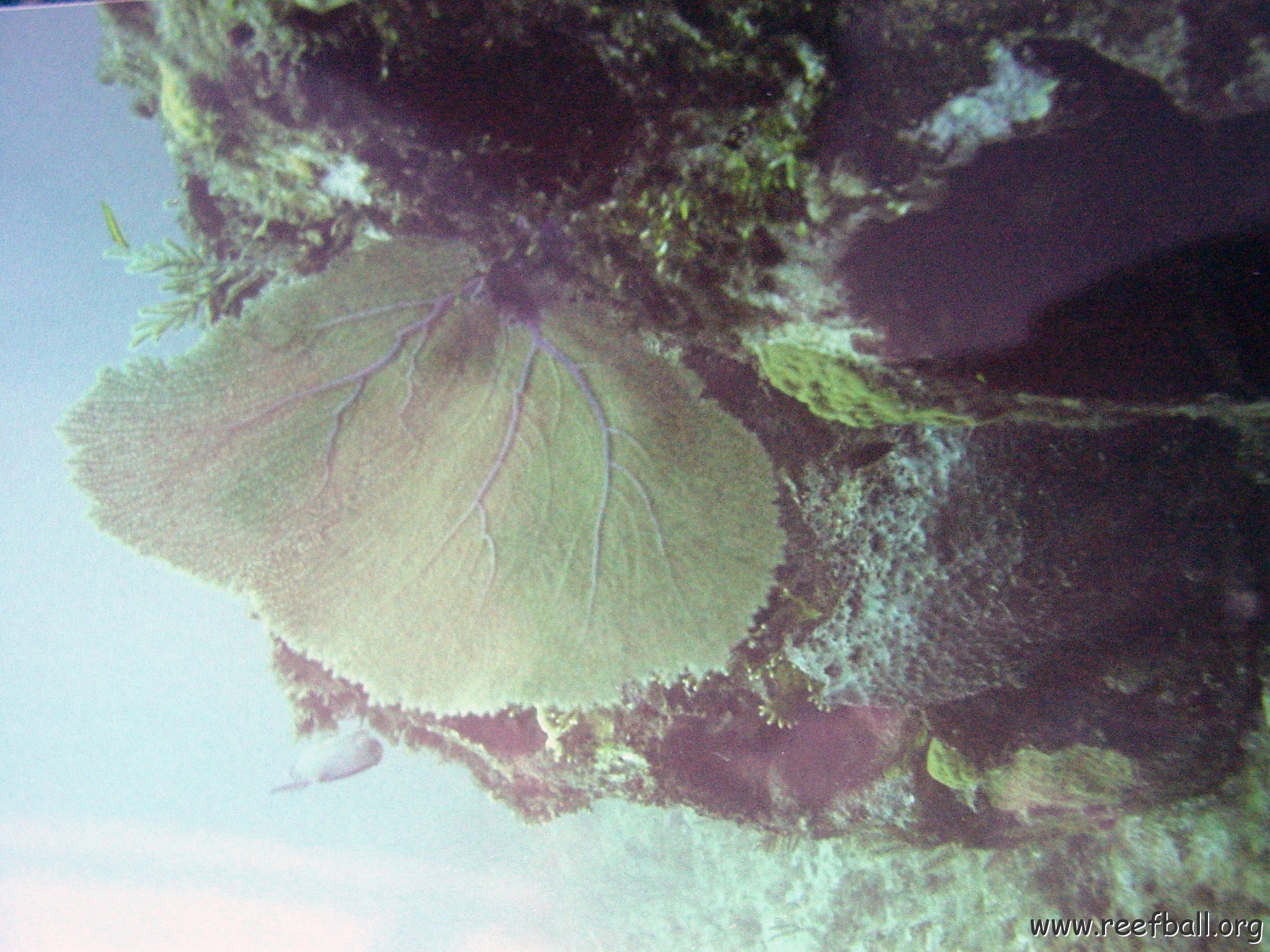 dsc02323