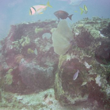 dsc02320 dsc02320