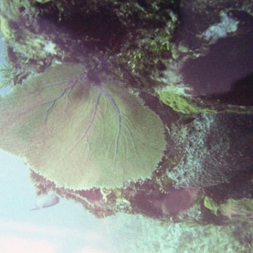 dsc02323 dsc02323