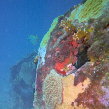 img00007 img00007
