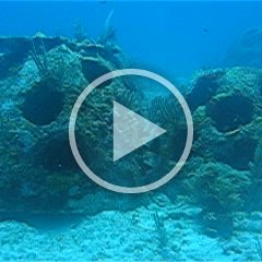 mvi_4539