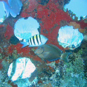 img_4429 img_4429