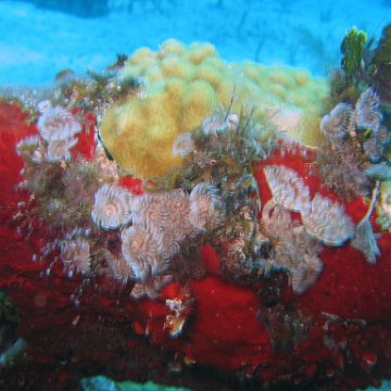 img_4436 img_4436