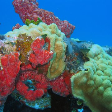 img_4439 img_4439