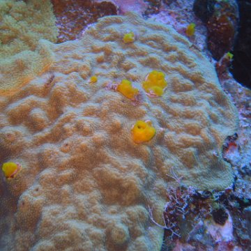 img_4440 img_4440