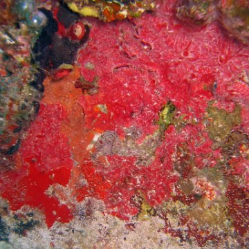 img_4449 img_4449