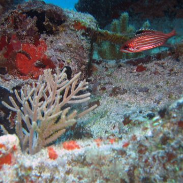 img_4454 img_4454