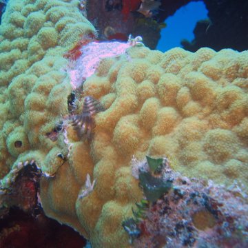 img_4460 img_4460