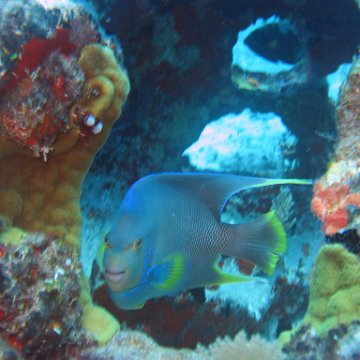 img_4464 img_4464