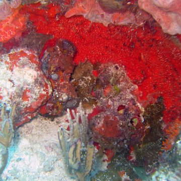 img_4466 img_4466
