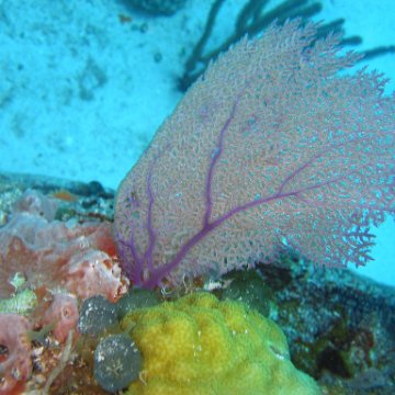 img_4468 img_4468