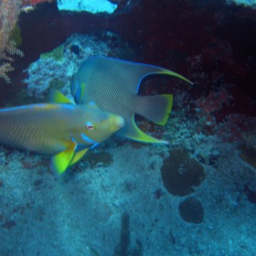 img_4474 img_4474