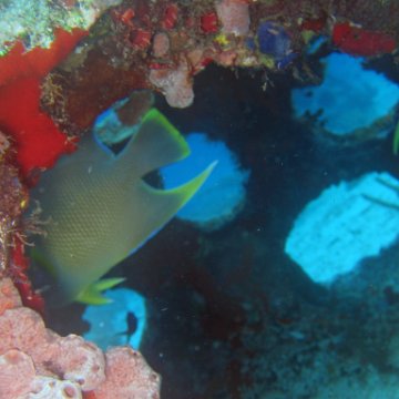 img_4480 img_4480