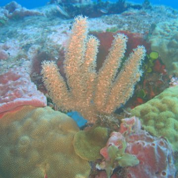 img_4483 img_4483