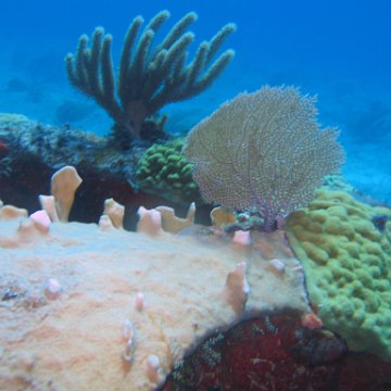 img_4519 img_4519