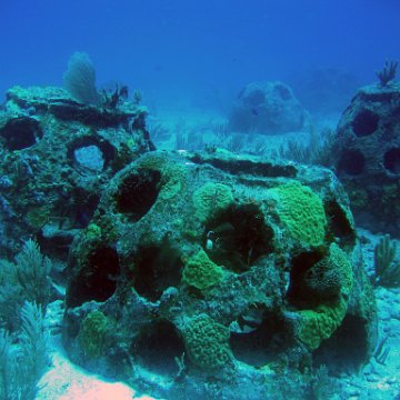 reefballreef reefballreef