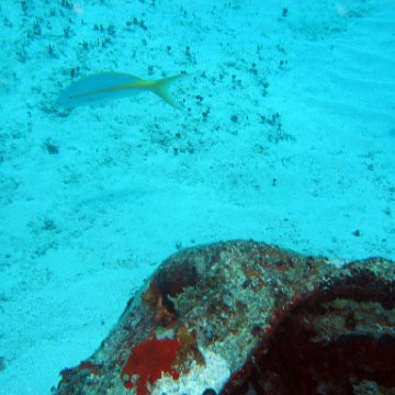 img_4399 img_4399