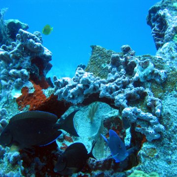 img_4404 img_4404