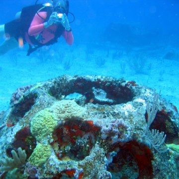 img_4412 img_4412