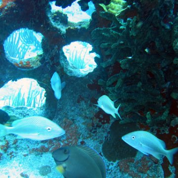 img_4420 img_4420