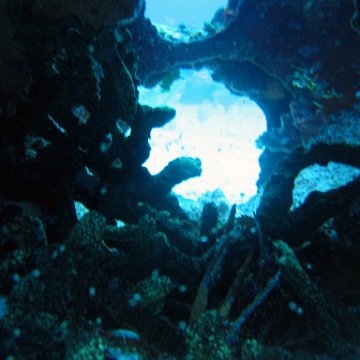 img_4425 img_4425