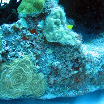 img_4426 img_4426