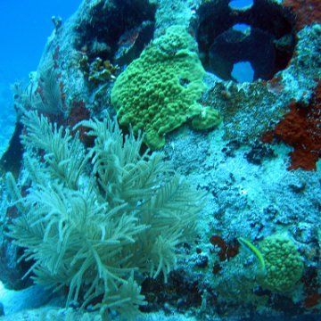 img_4428 img_4428