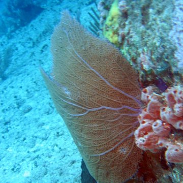 img_4478 img_4478