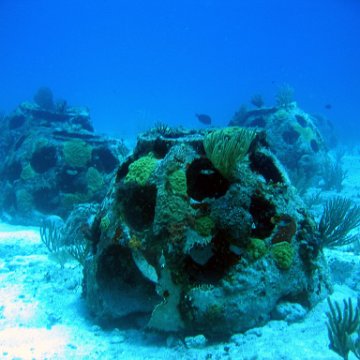 img_4500 img_4500