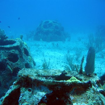 img_4506 img_4506