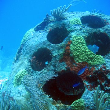 img_4536 img_4536