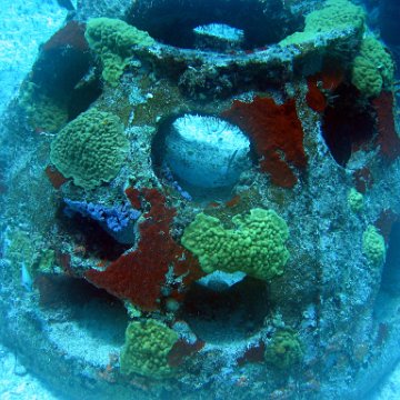 img_4540 img_4540