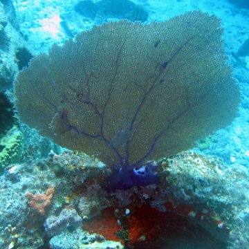 img_4542 img_4542