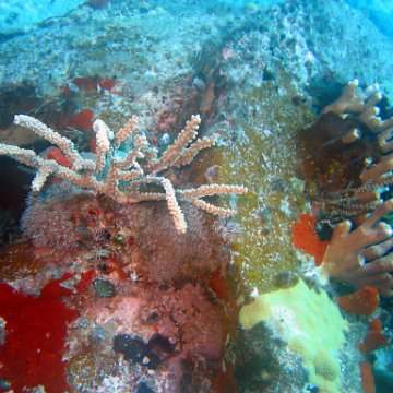 img_4543 img_4543