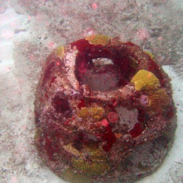 IMG_6249 IMG_6249