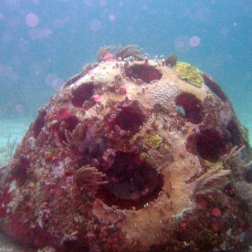IMG_6270 IMG_6270