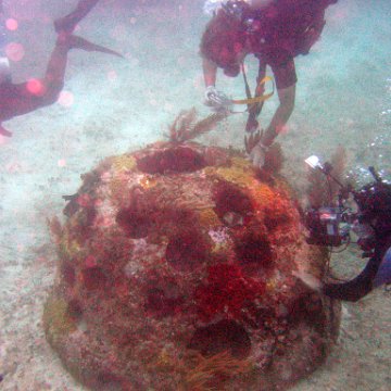 IMG_6274 IMG_6274