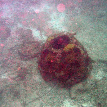 IMG_6280 IMG_6280