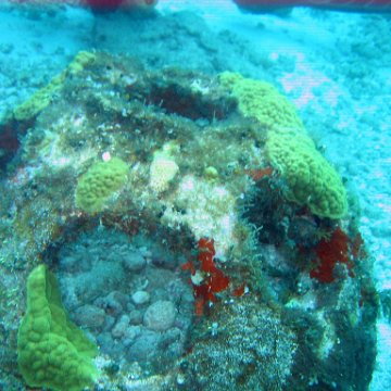IMG_9519 IMG_9519