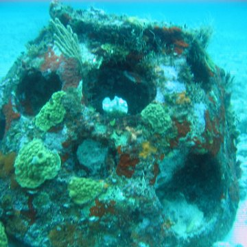 IMG_9521 IMG_9521