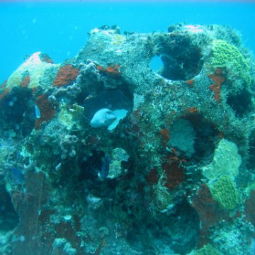 IMG_9524 IMG_9524