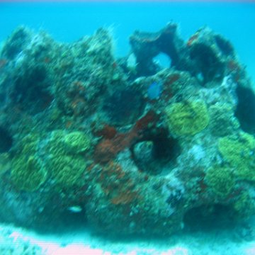 IMG_9527 IMG_9527