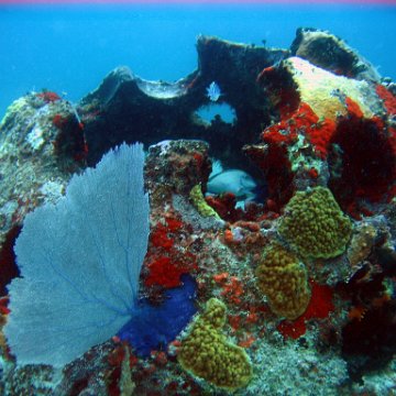 IMG_9529 IMG_9529